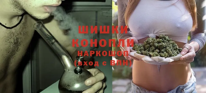 Бошки марихуана SATIVA & INDICA  закладка  Заринск 